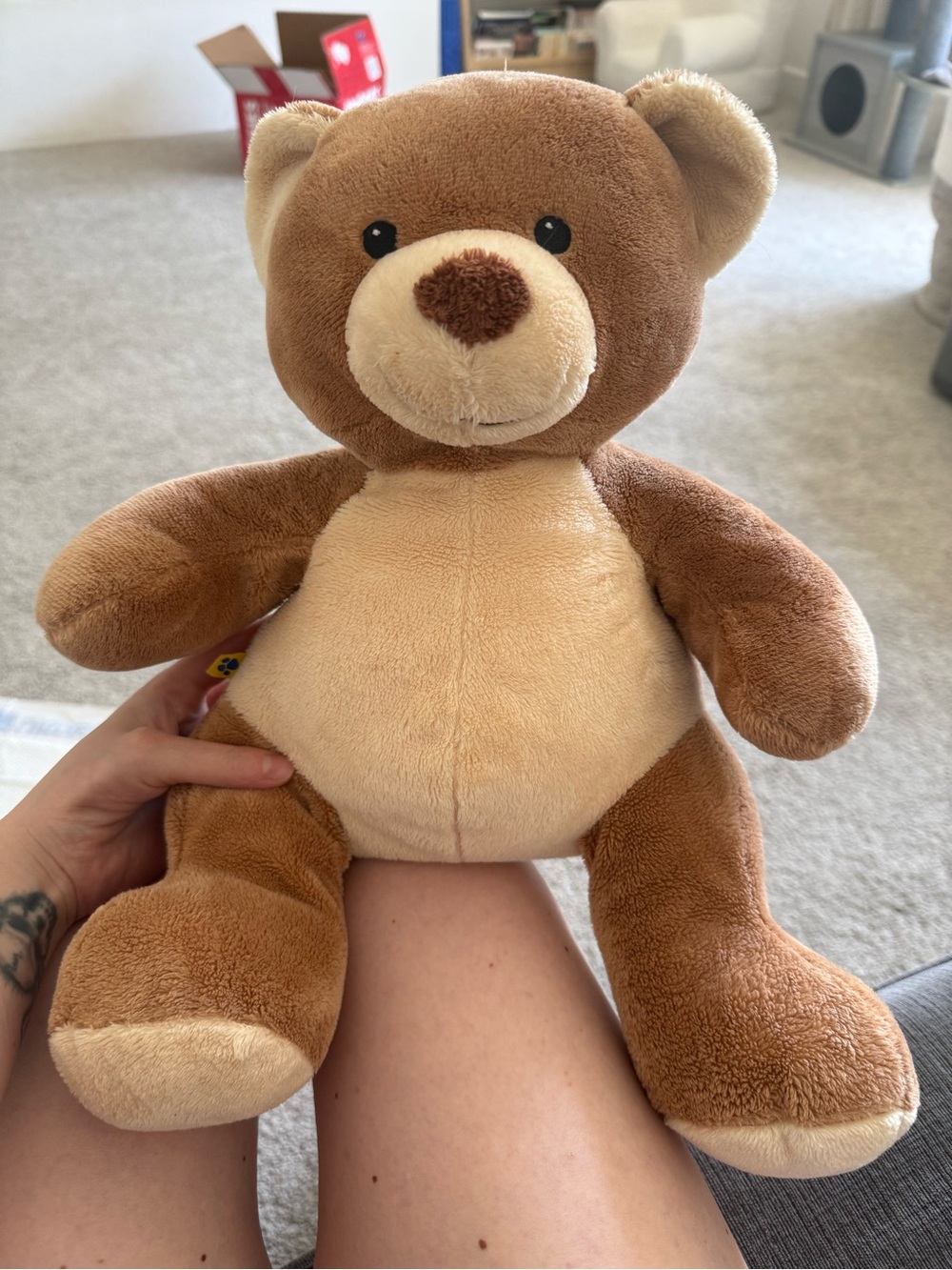 Build-A-Bear Brown & Cream Plush Teddy